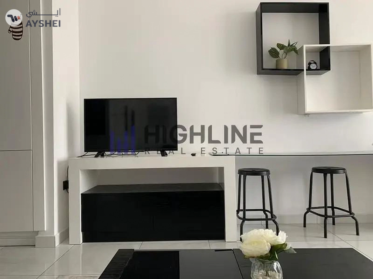 Fully Furnished | High ROI | Spacious | Negotable