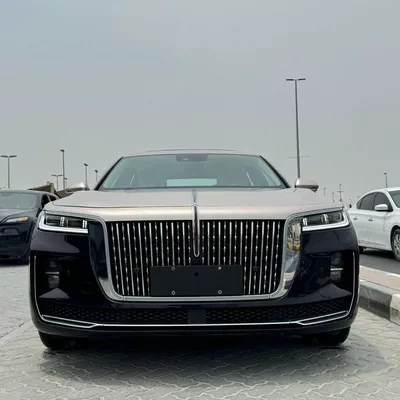 HONGQI H9 FLAGSHIP 2023 | BLACK LIKE-13