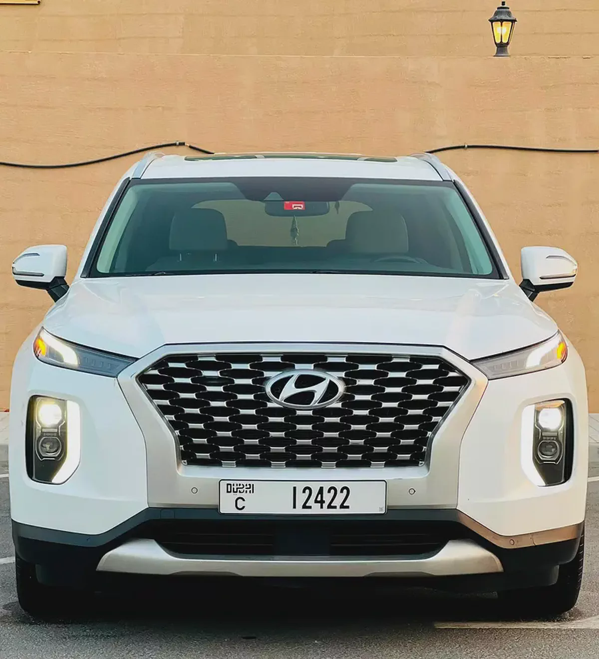 2021 Hyundai Palisade Calligraphy - American Specs - Pristine Condition