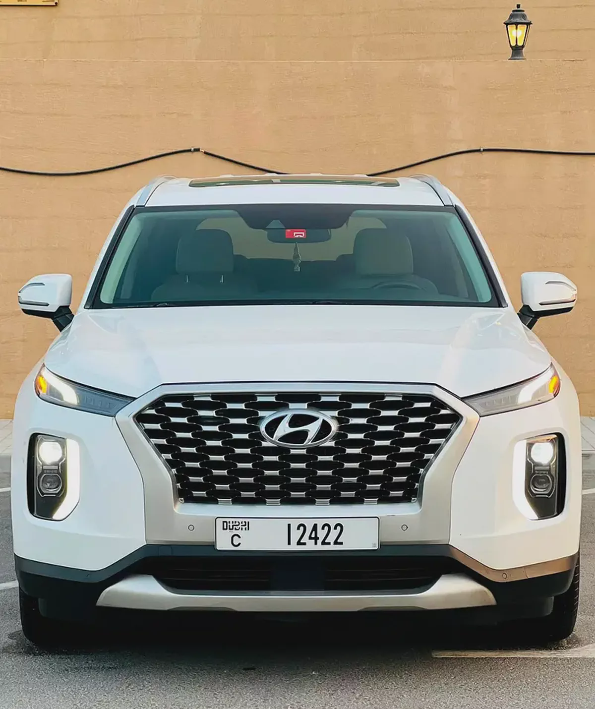 2021 Hyundai Palisade Calligraphy - American Specs - Pristine Condition-6-6