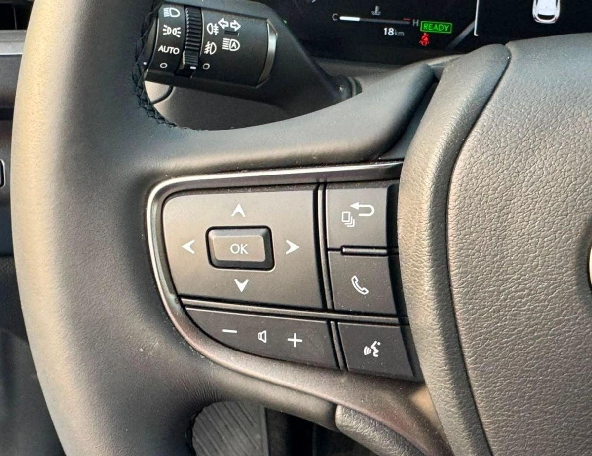 Lexus UX300h PRIME 2.0L HYBRID PRIME HYBRID || 2.0L V4 HYBRID | RADAR | LEATHER WITH PWR SEATS | SUNROOF | FR&RR CAMERA | FULL OPTI-21-0