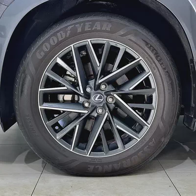 2024 Lexus TX-350 AWD-15