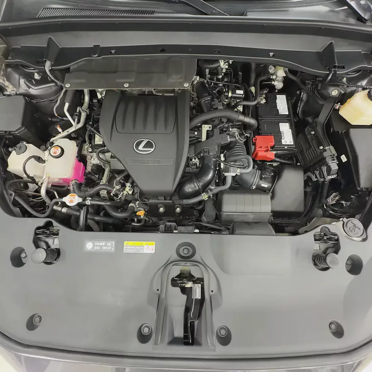 2024 Lexus TX-350 AWD-13-13