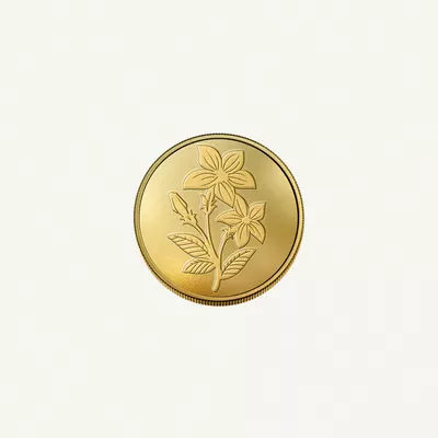 Emirates Minting 10g Gold Coin-1