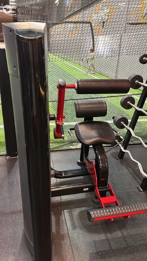 LF Signature Back Extension