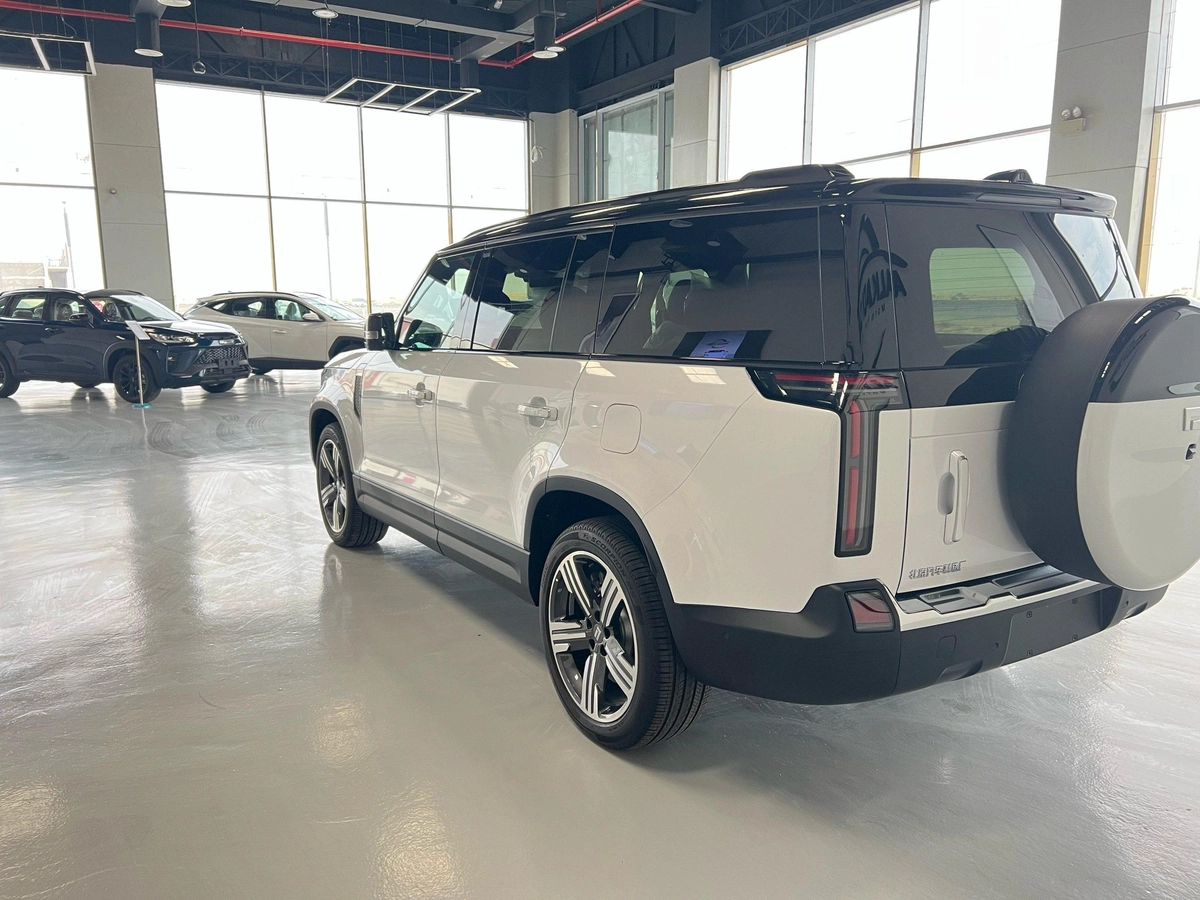 ROX 01 VIP Luxury 6-Seater 2024-16-16