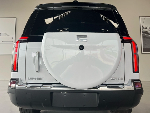 ROX 01 VIP Luxury 6-Seater 2024