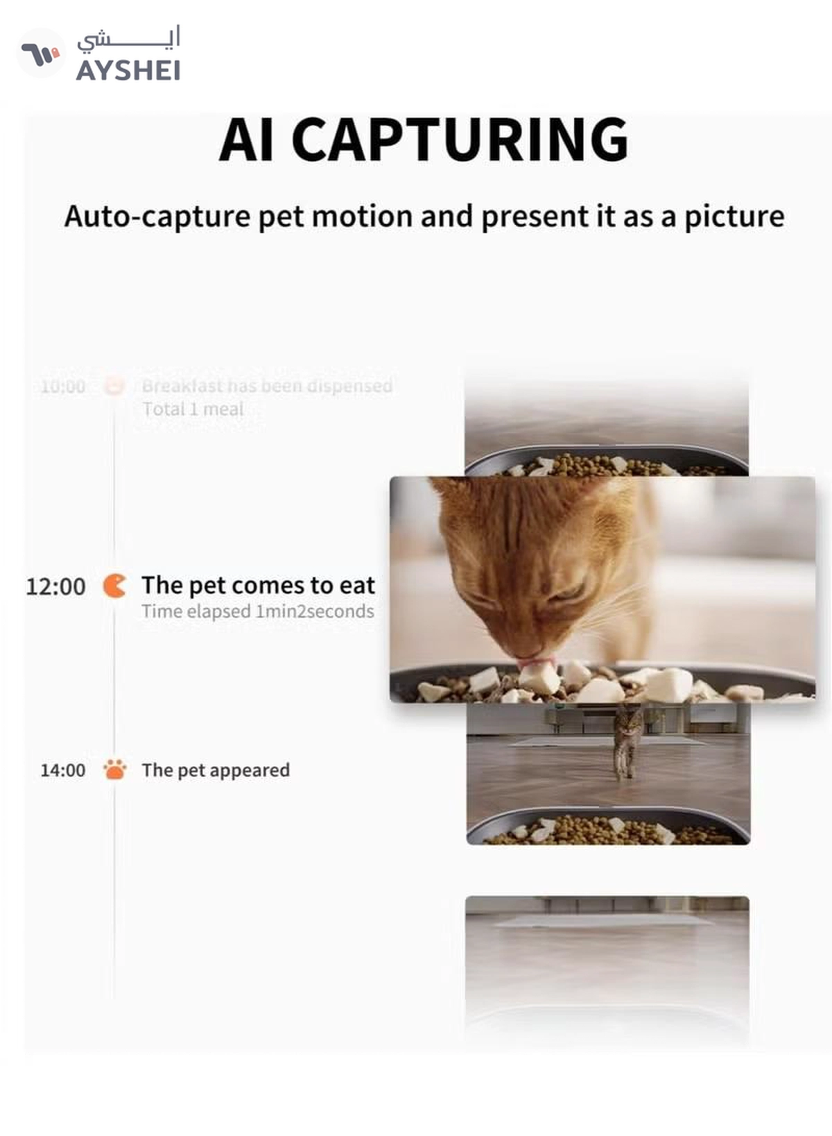 PETKIT Yumshare Gemini Automatic Cat Feeder-2-2