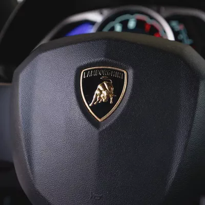 2014  LAMBORGHINI AVENTADOR 50th Anniversary Edition  ( with Special Exhaust) DONE ONLY 7000KM-15