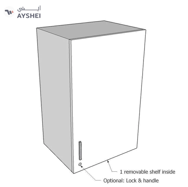 Wall mounted Cabinet: 1 Door