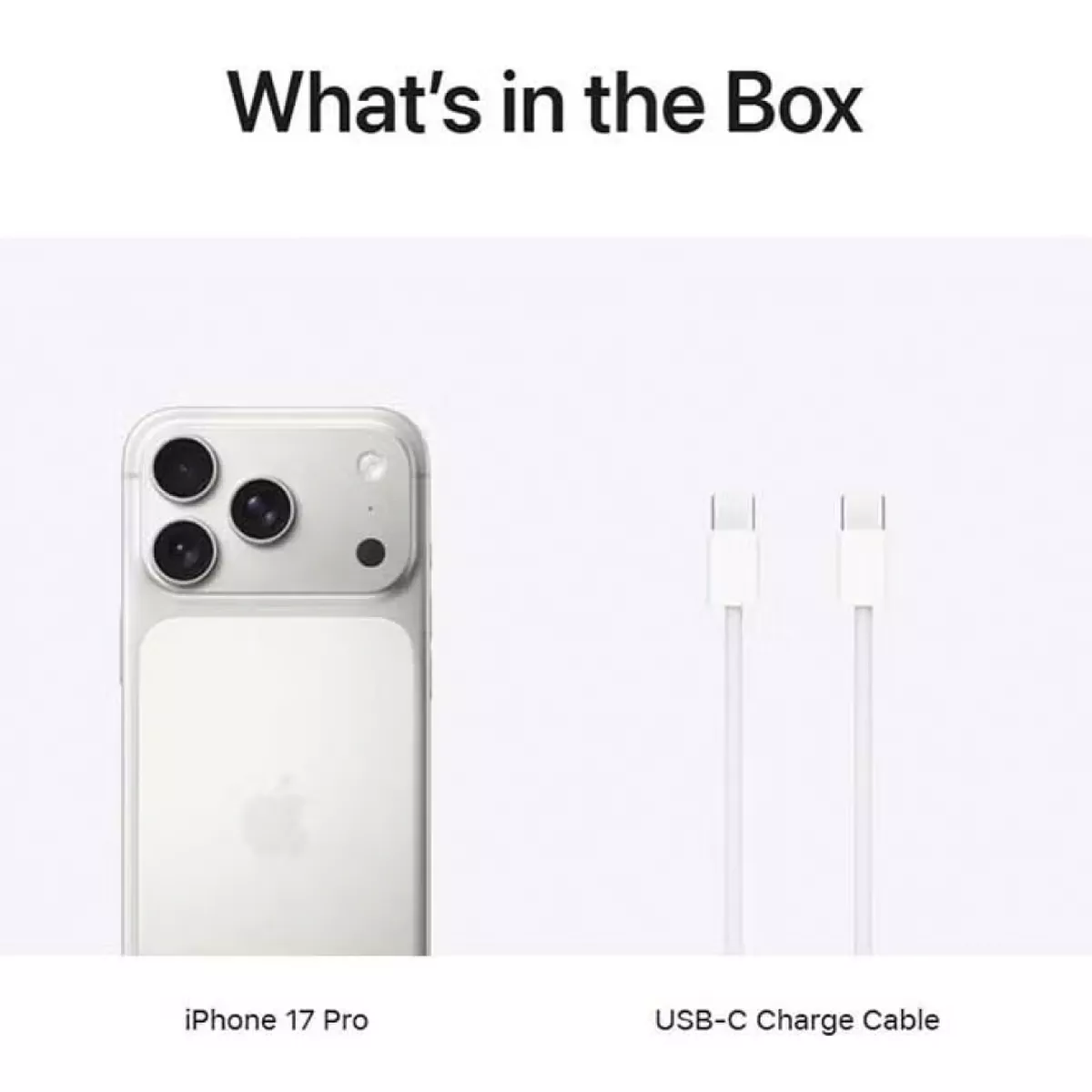 Apple iPhone 17 Pro 256 GB (eSIM only) Silver 5G With FaceTime - International Version-2-2