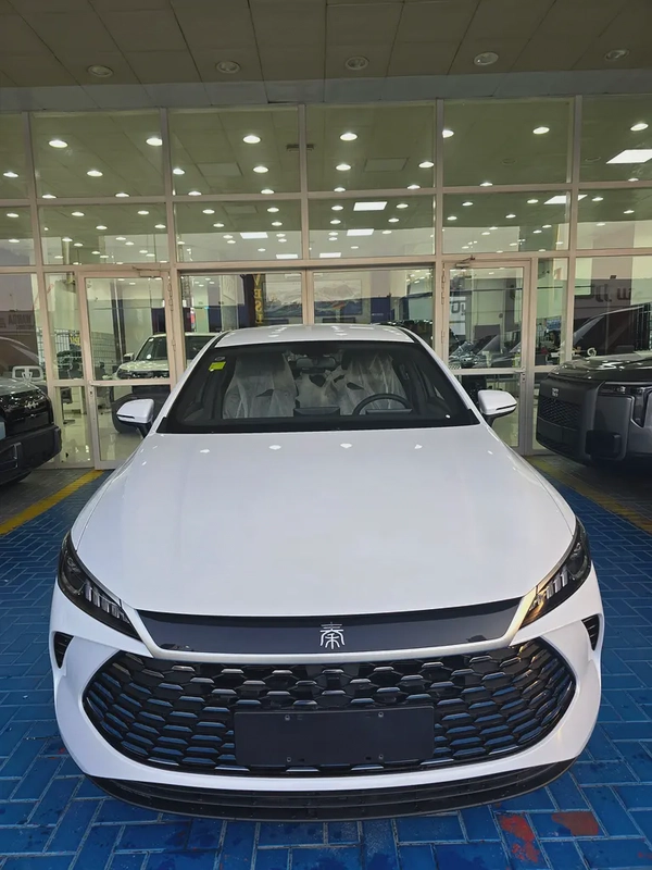 BYD Qin Plus DM-i 55KM Leading