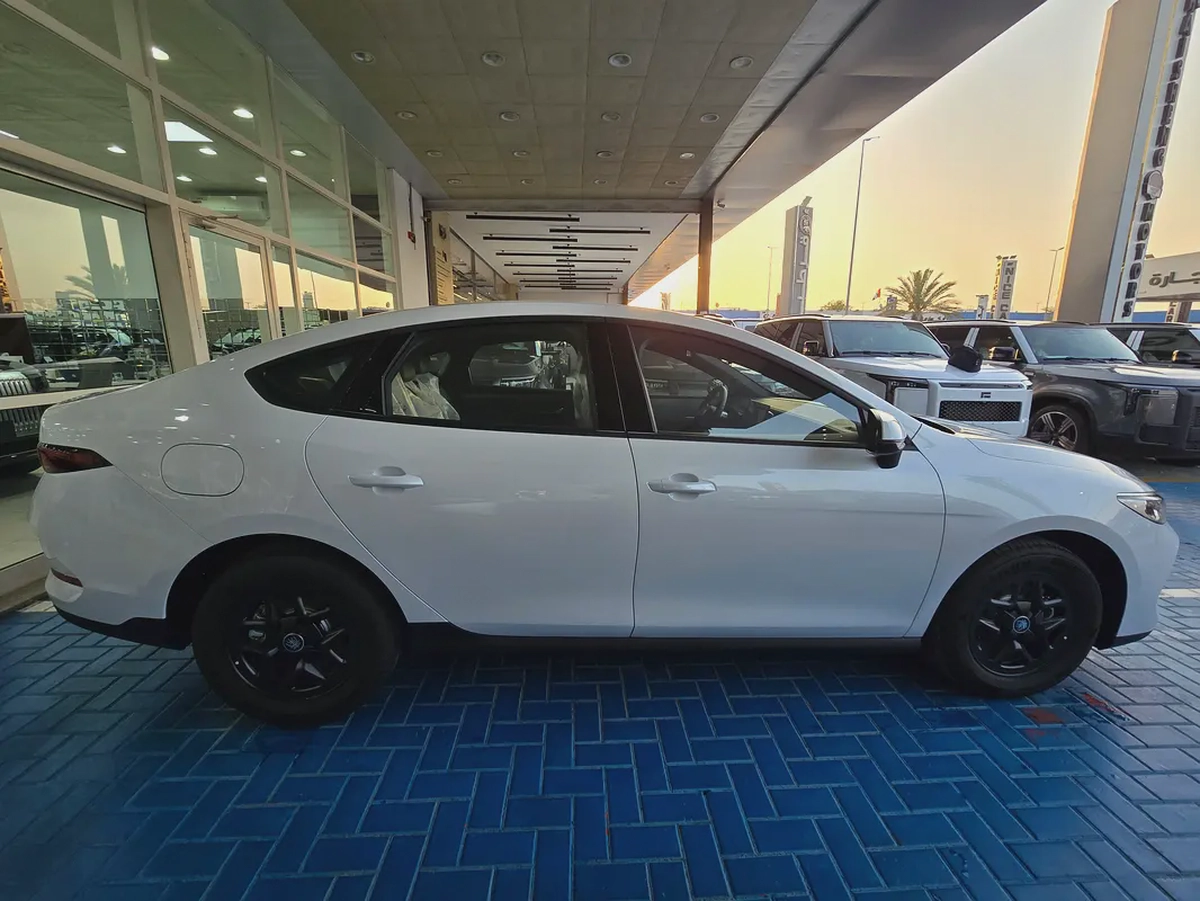 BYD Qin Plus DM-i 55KM Leading-1-1