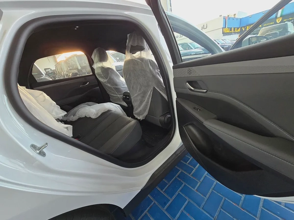 BYD Qin Plus DM-i 55KM Leading