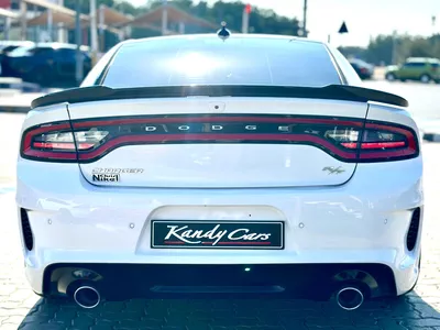 2020 Dodge Charger RT - # 06646-5