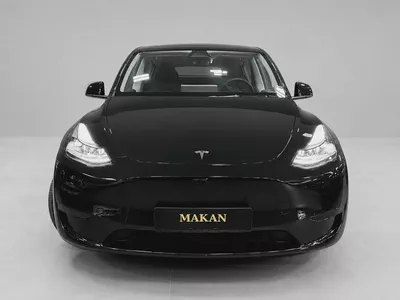 2024 Tesla Model Y Standard - Korean Specs - Brand New Condition-1
