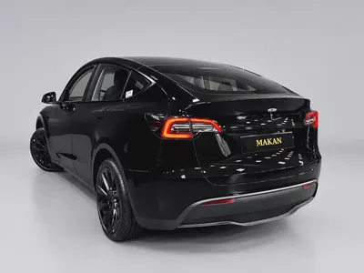 2024 Tesla Model Y Standard - Korean Specs - Brand New Condition-3