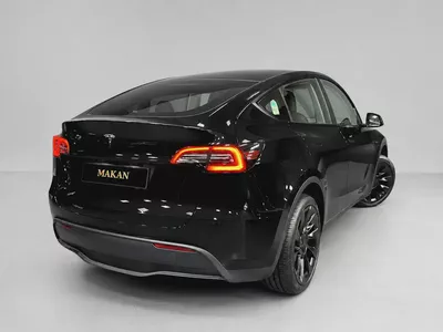 2024 Tesla Model Y Standard - Korean Specs - Brand New Condition-5