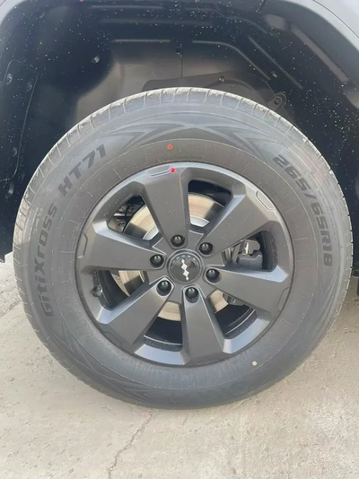 BYD LEOPARD 5 - 210KM-7
