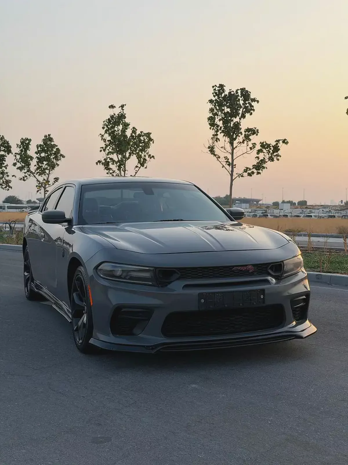 Dodge Charger SXT Plus 2019 American Specs-18-18