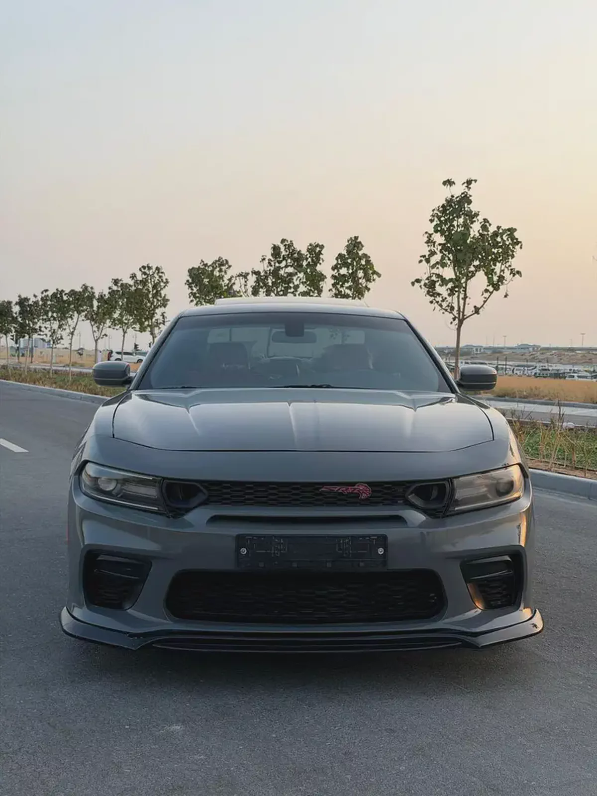 Dodge Charger SXT Plus 2019 American Specs-1-1