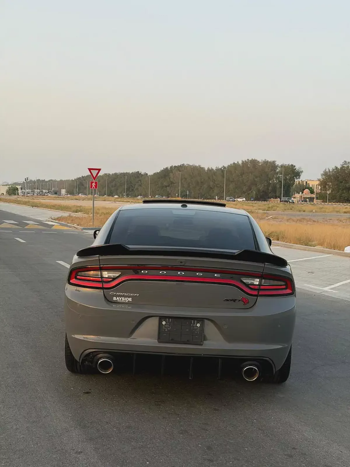Dodge Charger SXT Plus 2019 American Specs-3-3