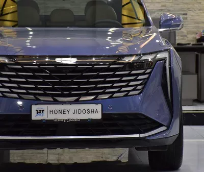 Geely Starray ( 2025 Model ) in Blue Color GCC Specs-2