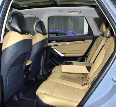 Geely Starray ( 2025 Model ) in Blue Color GCC Specs-13