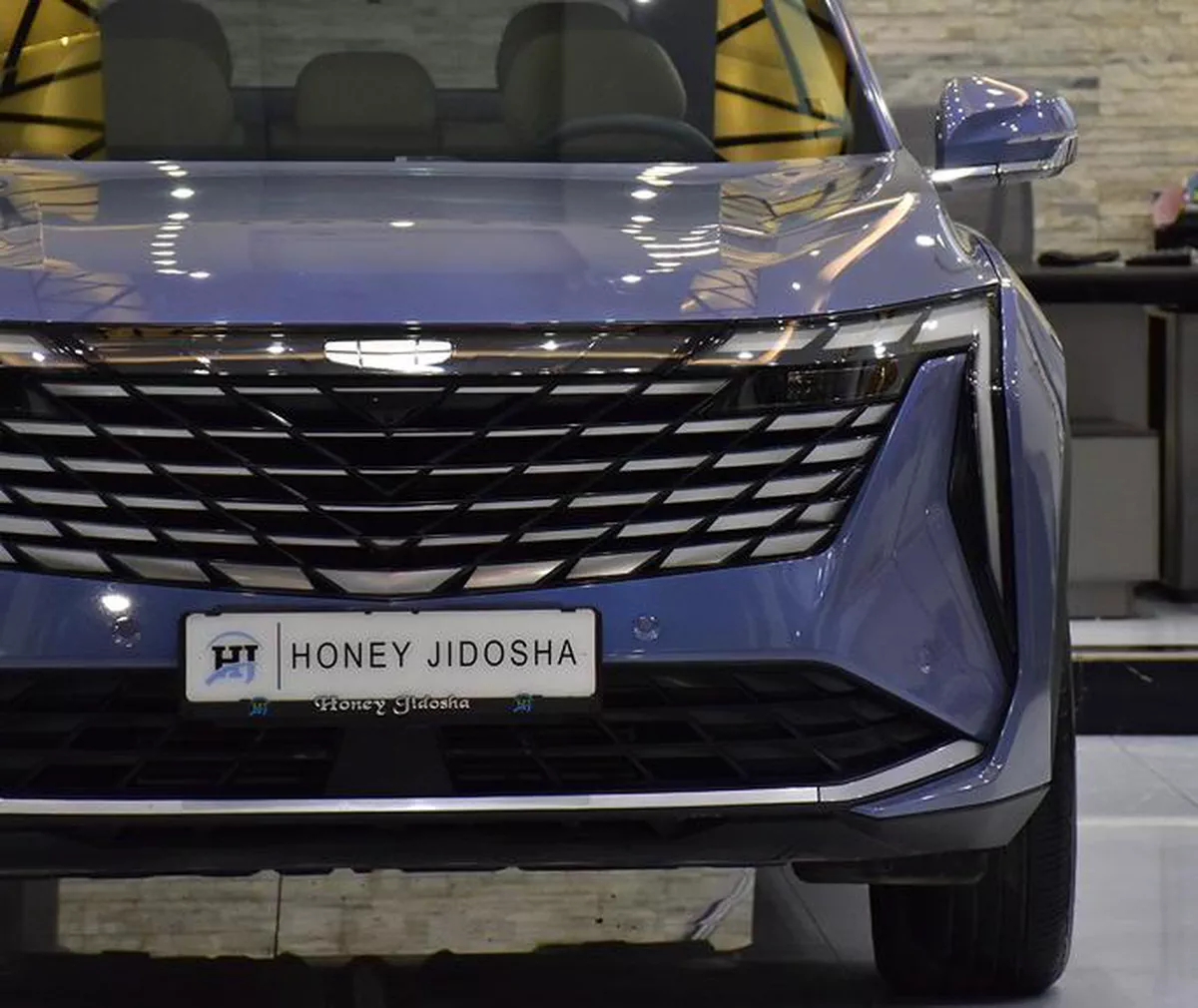 Geely Starray ( 2025 Model ) in Blue Color GCC Specs-2-2