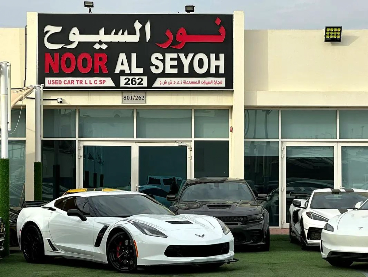 CHEVROLET CORVETTE C7 GRAND SPORT 2019 IMPORT AMERICA FULL OPTION PERFECT CONDITION ORIGINAL PAINT-7-7