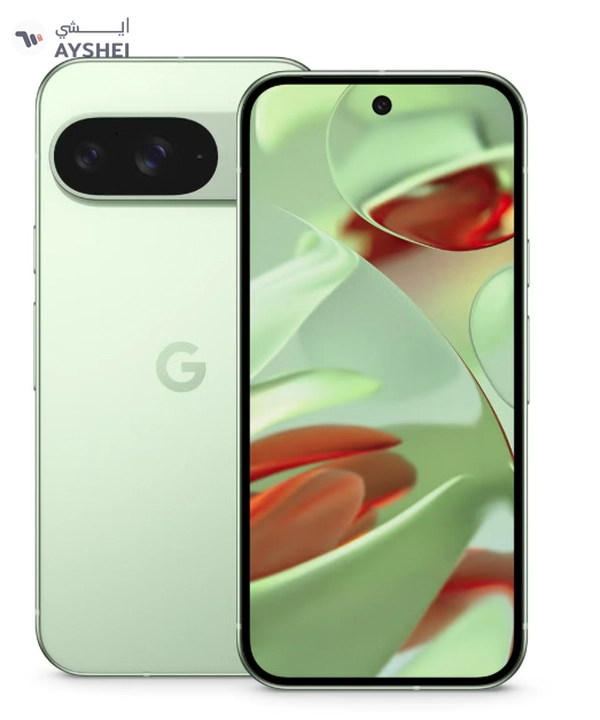 Google Pixel 9 Dual SIM Wintergreen 12GB RAM 256GB 5G - International Version
