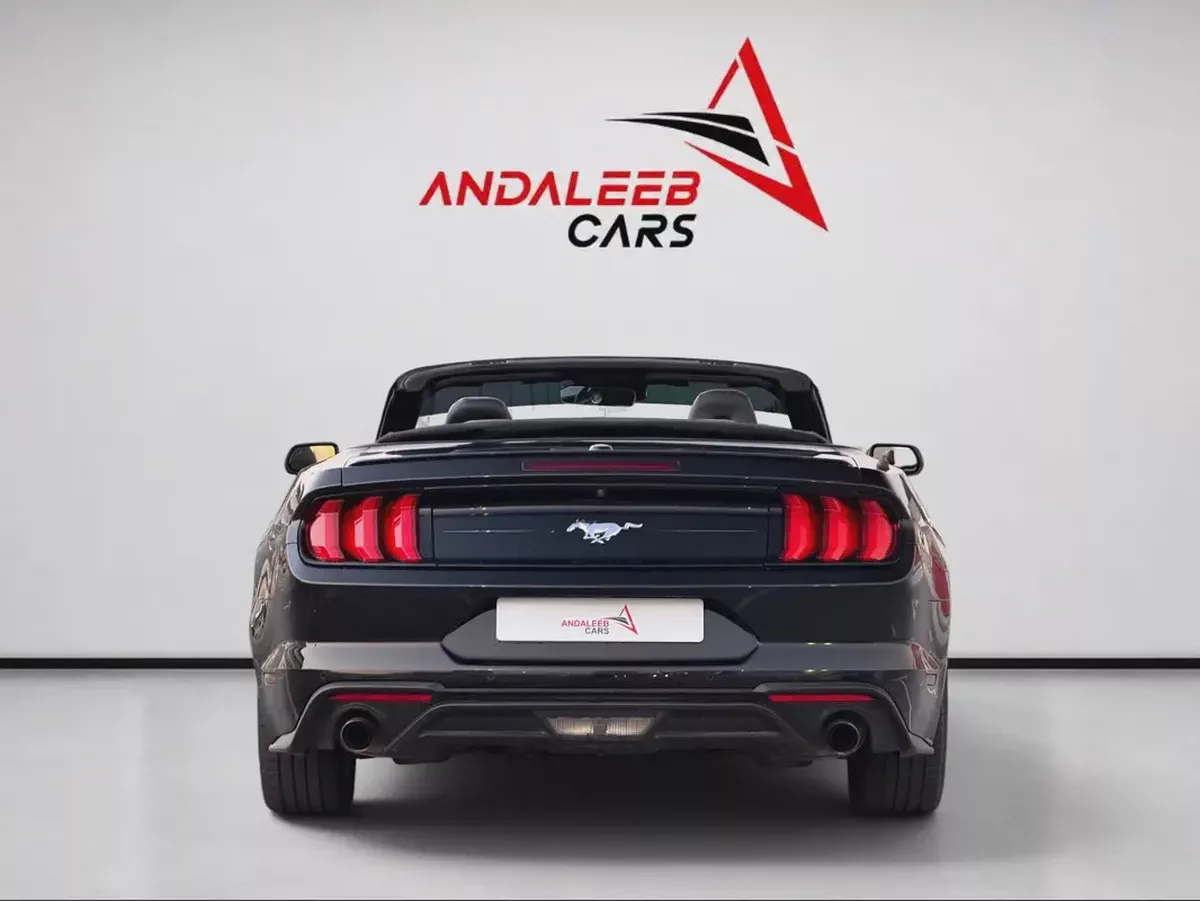 FORD MUSTANG CONVERTIBLE | 2.3L TURBO | 2022-3-3