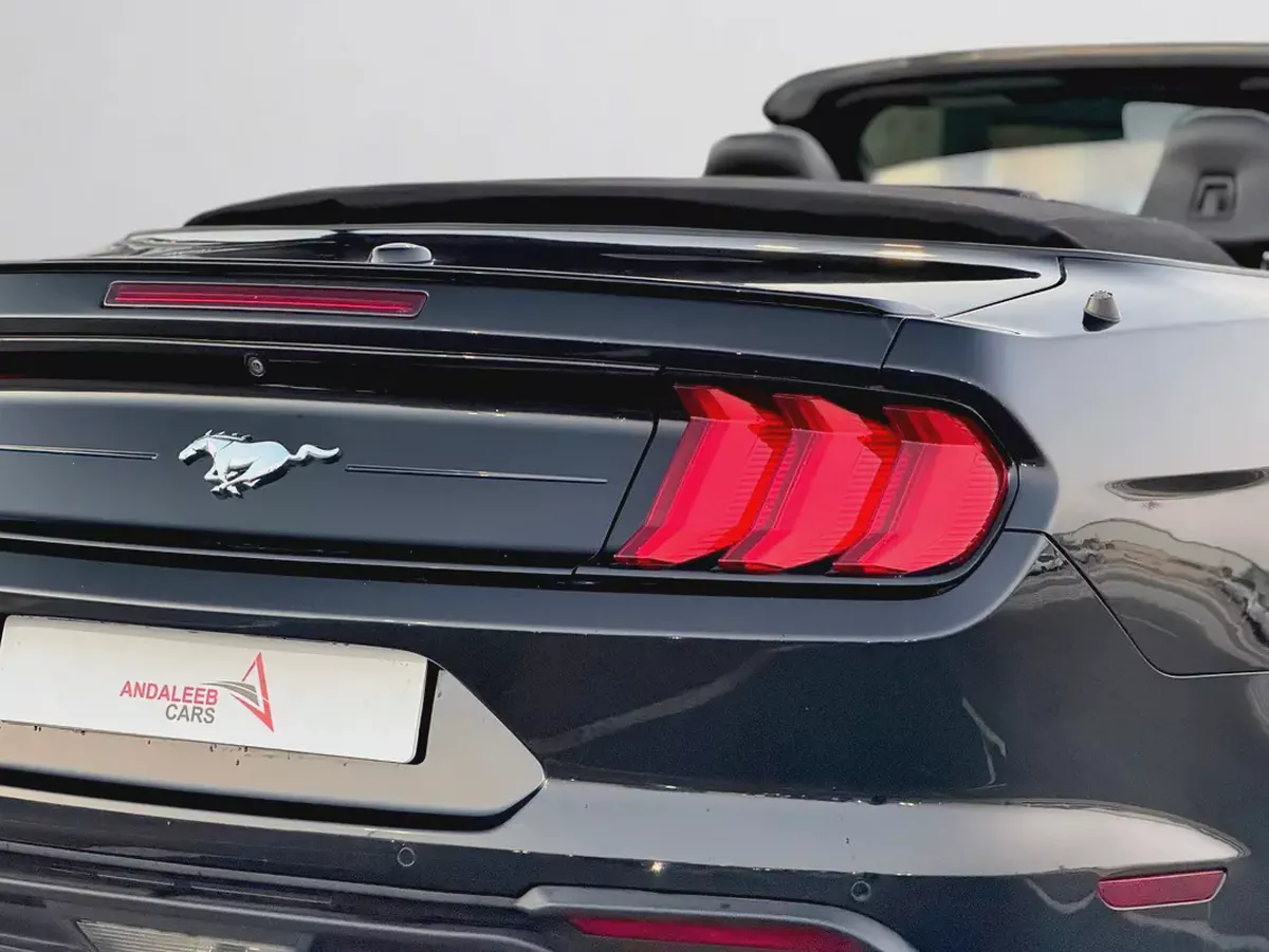 FORD MUSTANG CONVERTIBLE | 2.3L TURBO | 2022-5-5
