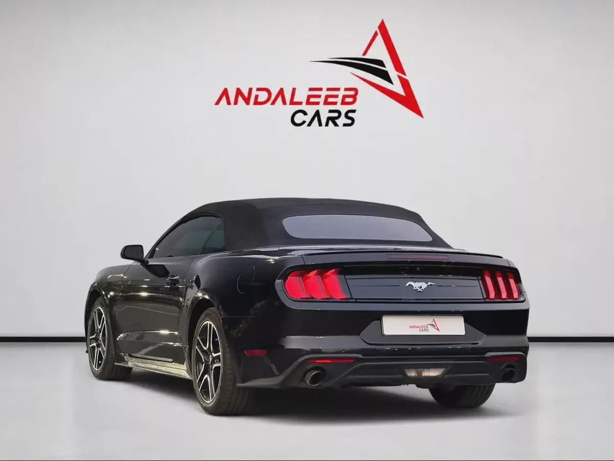 FORD MUSTANG CONVERTIBLE | 2.3L TURBO | 2022-6-6