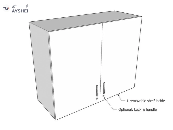 Wall mounted Cabinet: 2 Door