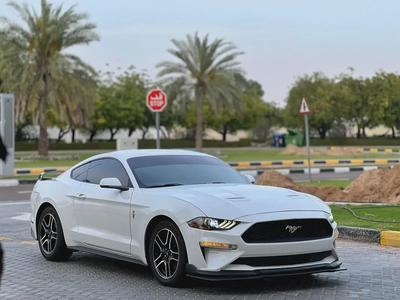 فورد-0