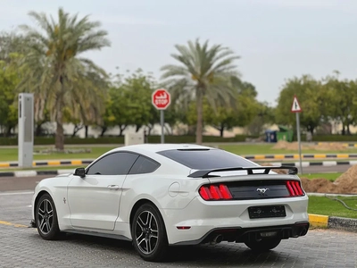 فورد-3