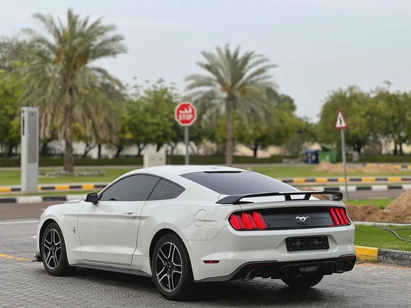 فورد