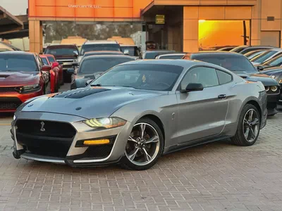 فورد موستنج ايكو بوست 2020 بحالة جيدة-0