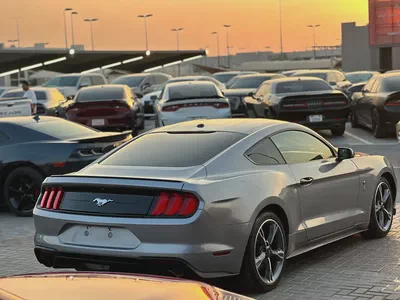 فورد موستنج ايكو بوست 2020 بحالة جيدة-5
