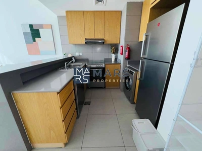 Luxury one bedroom fully furnished for rent just in 55k-12