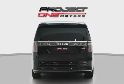 2025 ZEEKR 009-4