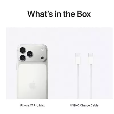 Apple iPhone 17 Pro Max 256 GB Silver 5G (eSim only) With FaceTime - International Version-1