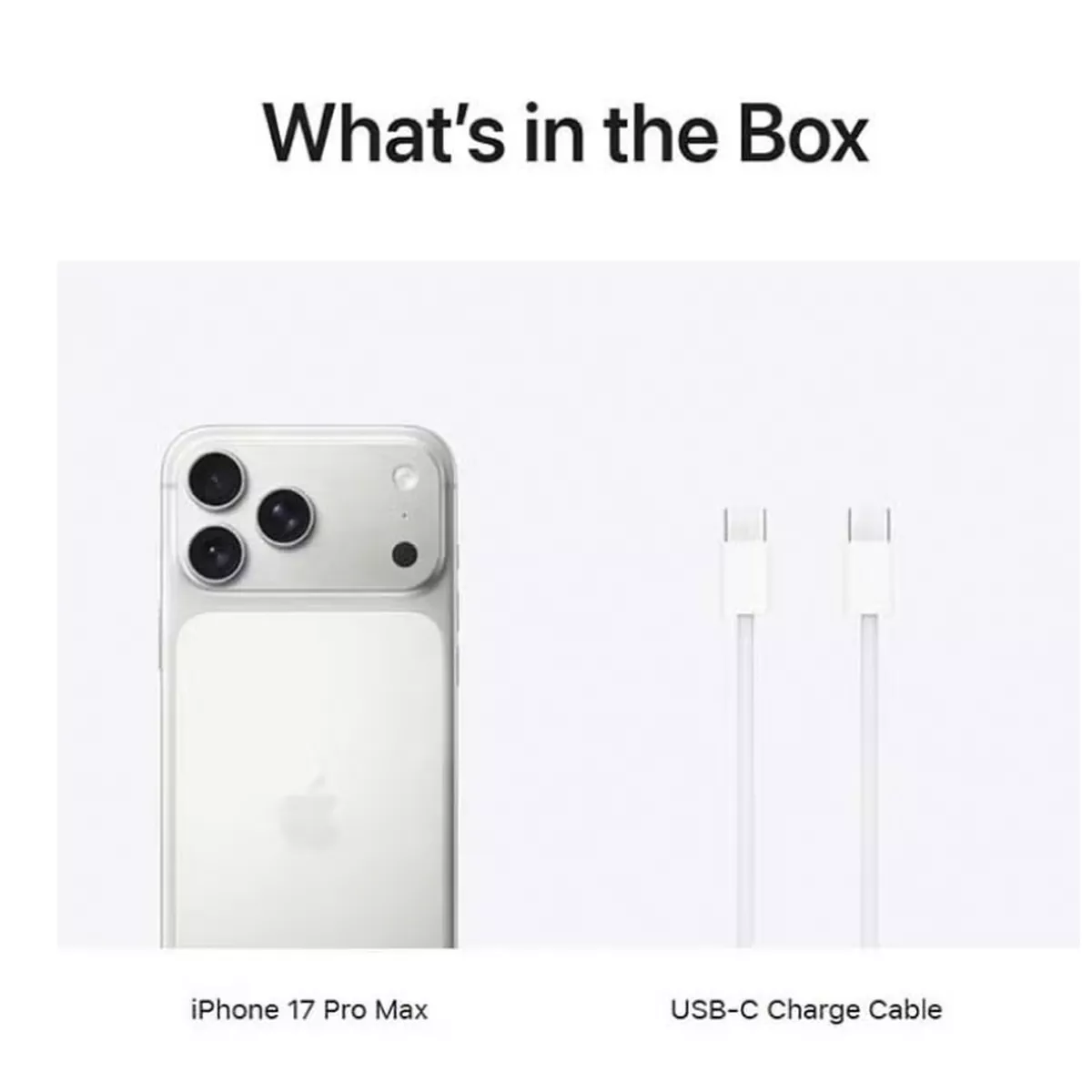 Apple iPhone 17 Pro Max 256 GB Silver 5G (eSim only) With FaceTime - International Version-1-1