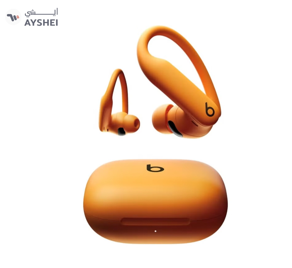 beats Powerbeats Pro 2 Wireless Bluetooth Earbuds-0-0