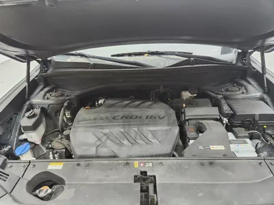 PALISADE (D) 2.2 PRESTIGE 2WD 7 seaters-11
