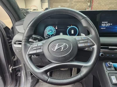 PALISADE (D) 2.2 PRESTIGE 2WD 7 seaters-15