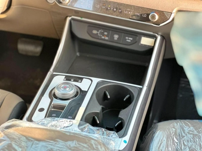 Kia Carnival Brand New Kia Carnival 2026 9 seats-13