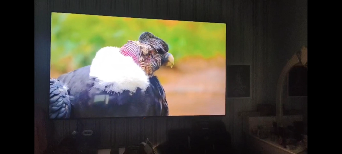TCL 98 inch 4k QLED TV 2024-1-1