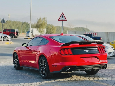 2023 Ford Mustang Ecoboost - # 09673-7